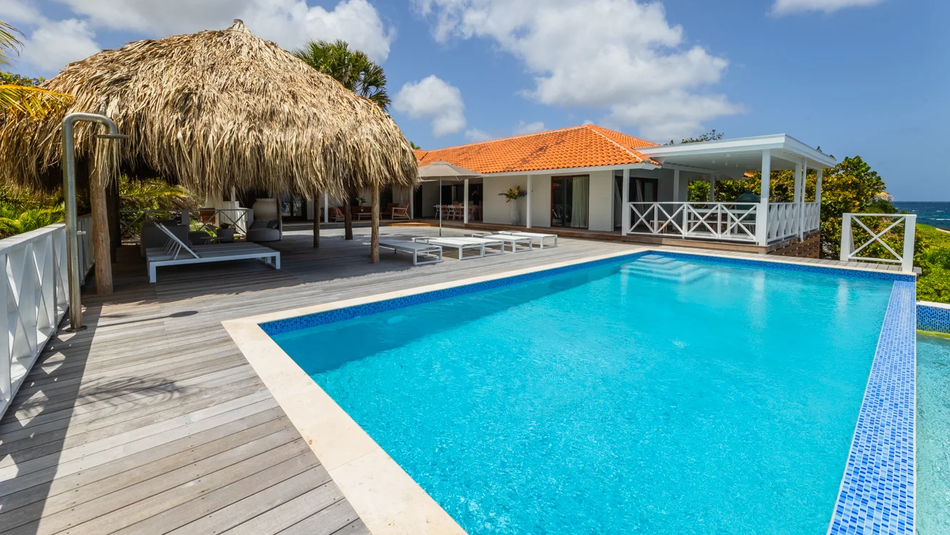 Zwembad en palapa